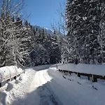 Cornelia 3* Berwang