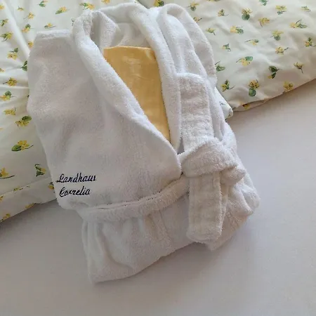 Cornelia 3* Berwang