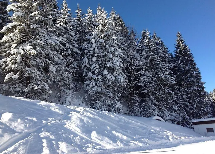 Cornelia 3* バーワング